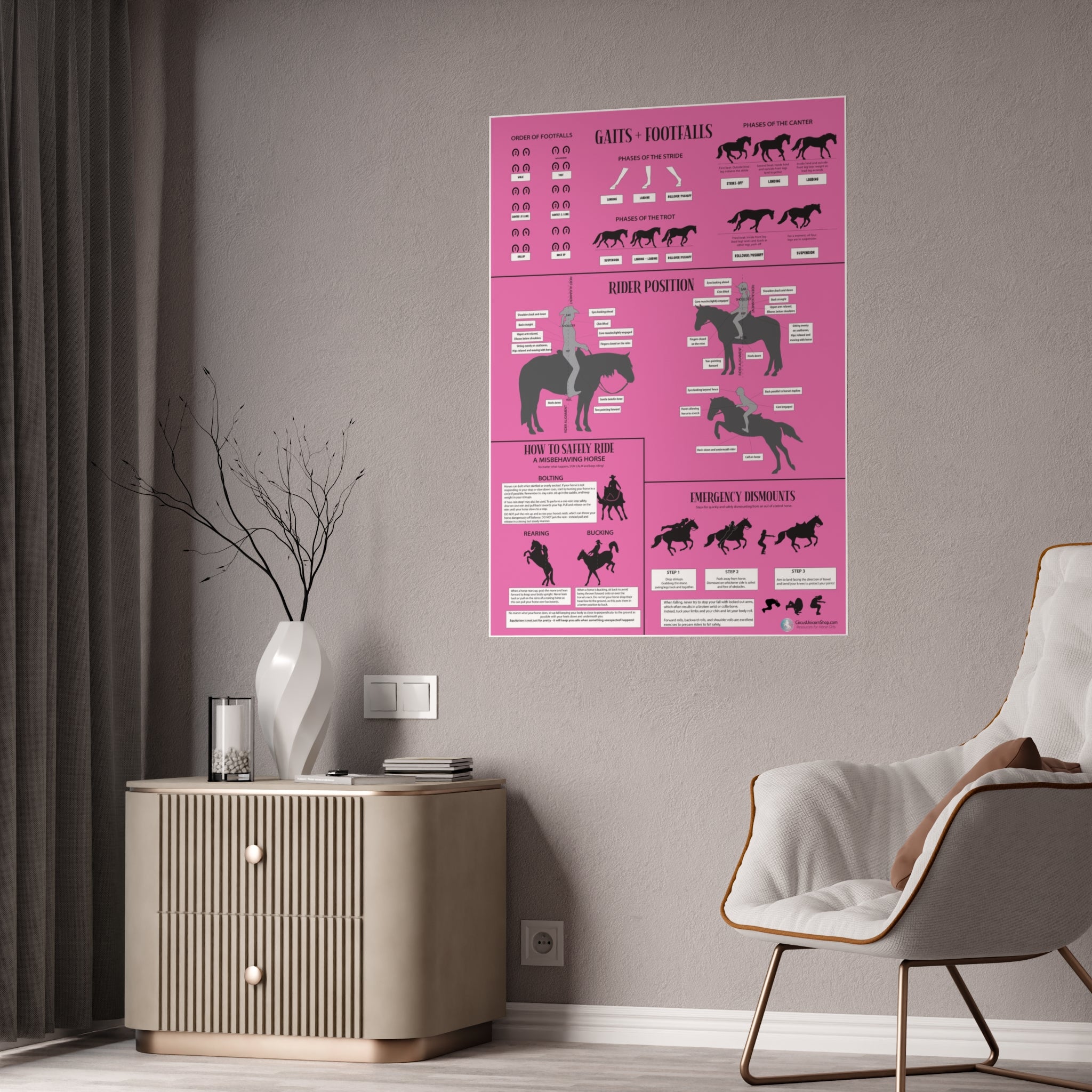 Gaits, Rider Position, & Safety Horse Poster