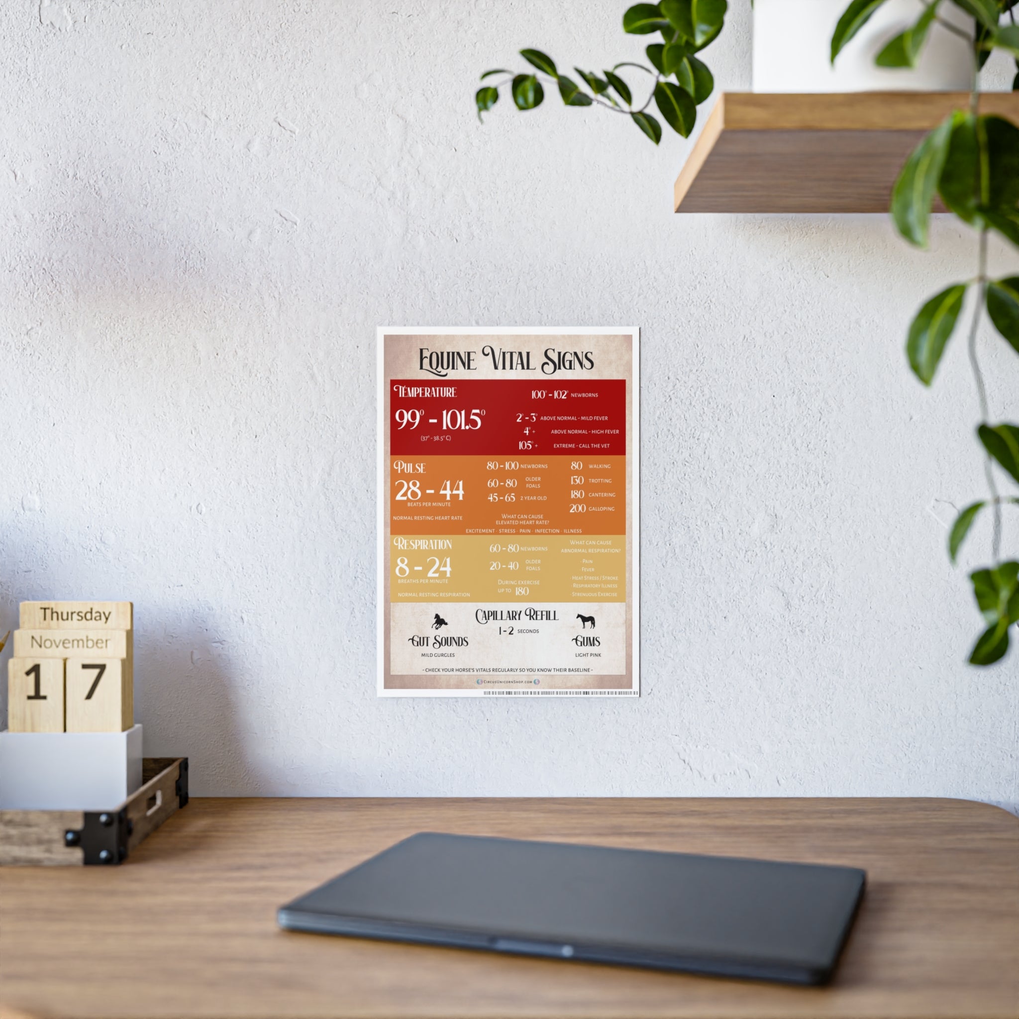 Equine Vital Signs Poster (TPR)