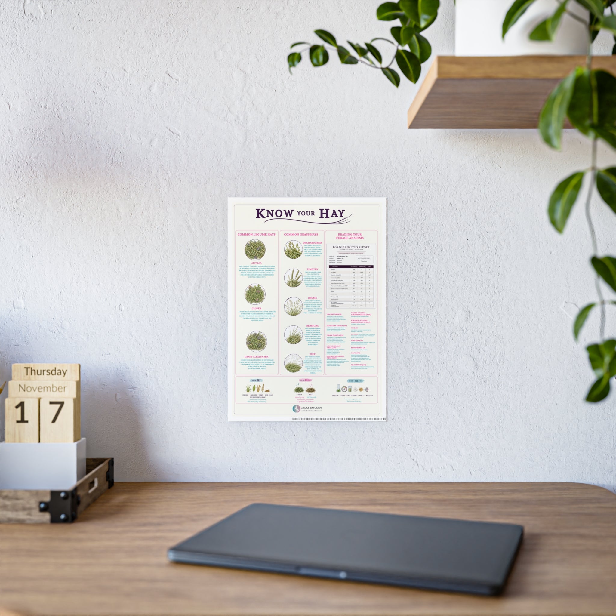 Know Your Forage Educational Horse Poster