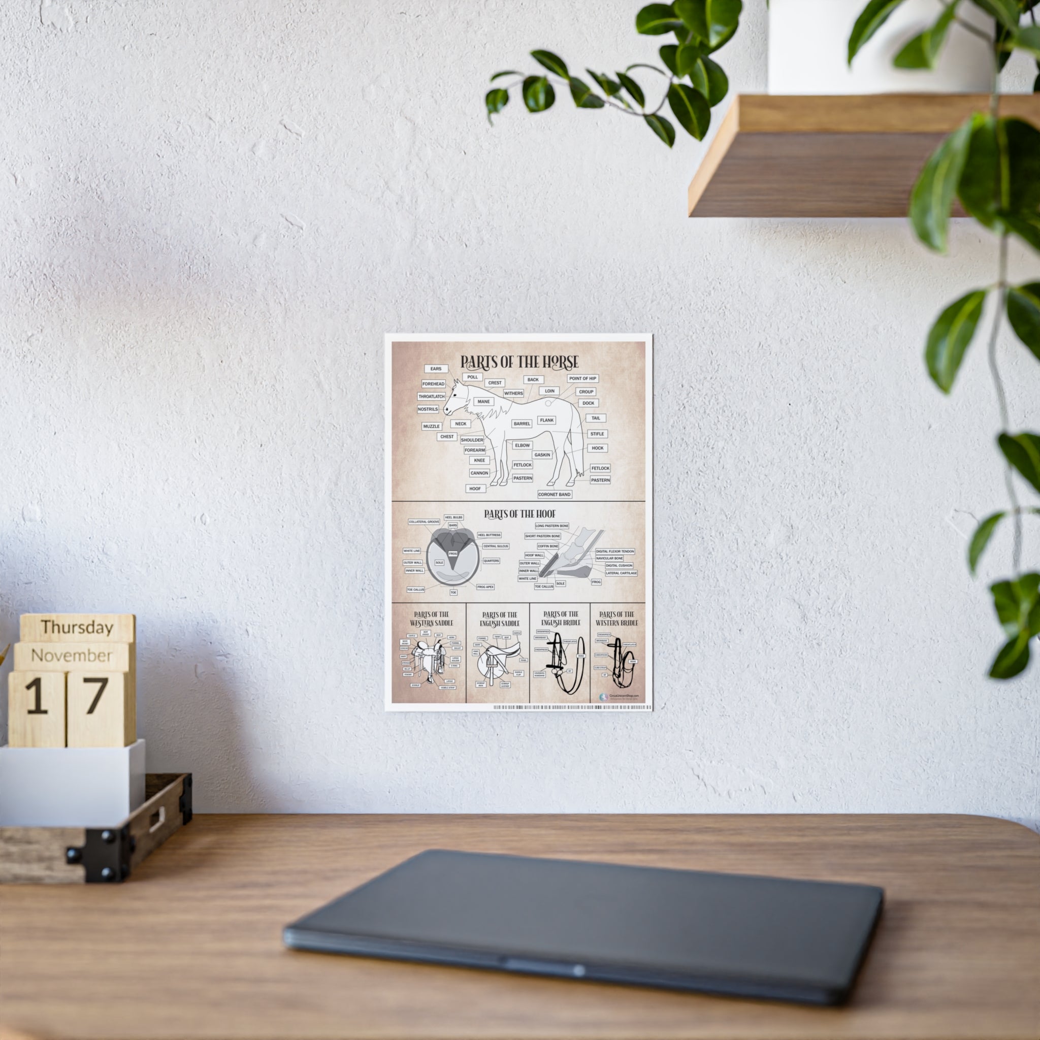 Parts of the Horse Poster - Natural
