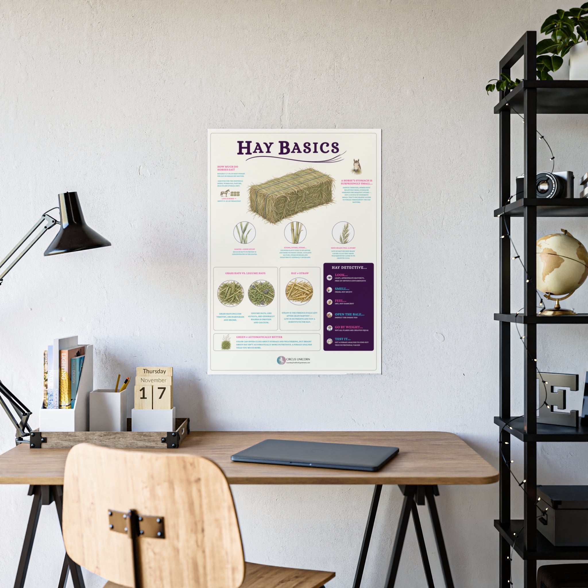 Hay Basics Educational Horse Poster