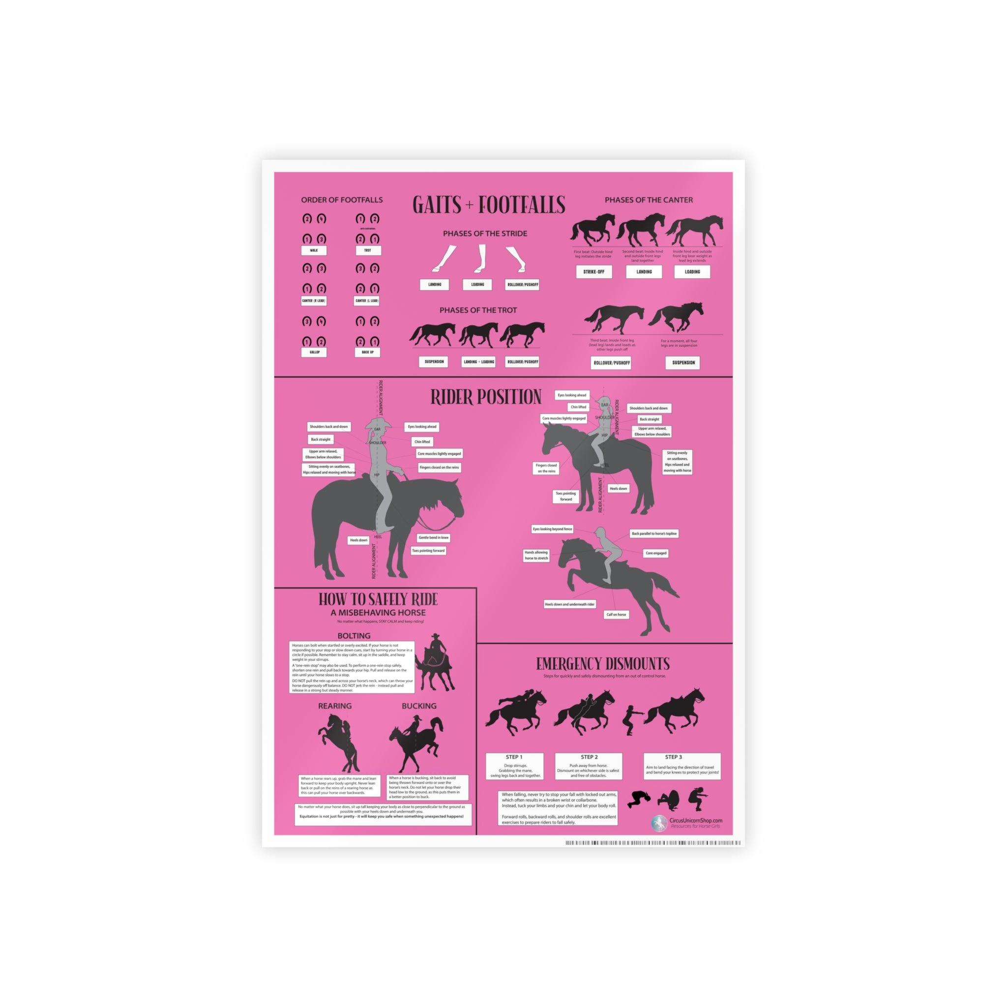 Gaits, Rider Position, & Safety Horse Poster