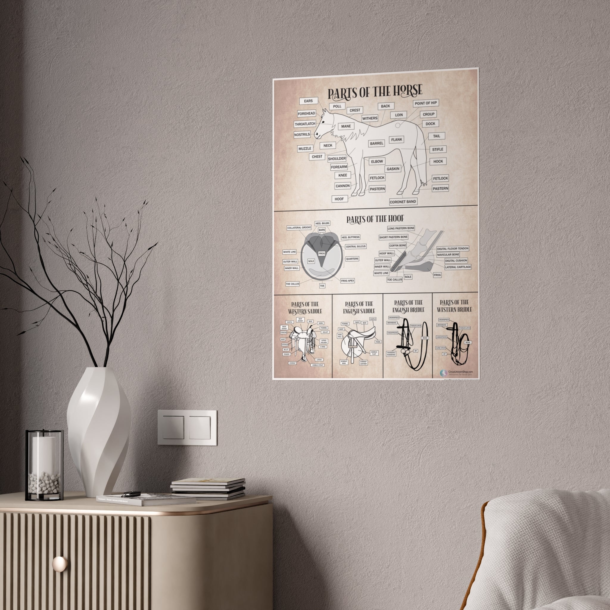 Parts of the Horse Poster - Natural