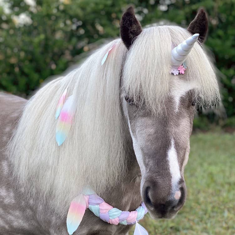 Unicorn Deluxe Kit - Pony/Mini Size