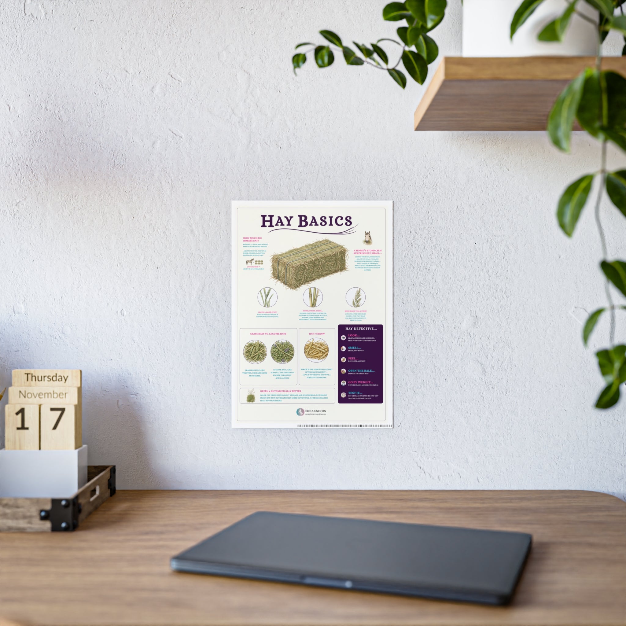 Hay Basics Educational Horse Poster