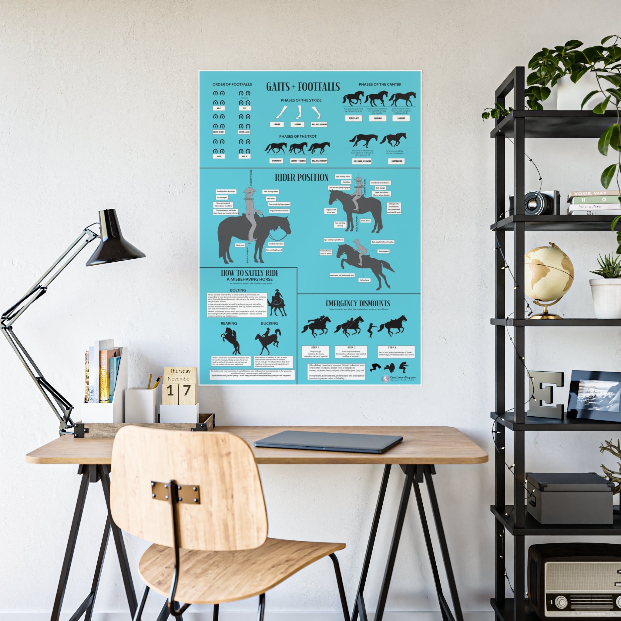Gaits, Rider Position, & Safety Horse Poster (Blue)