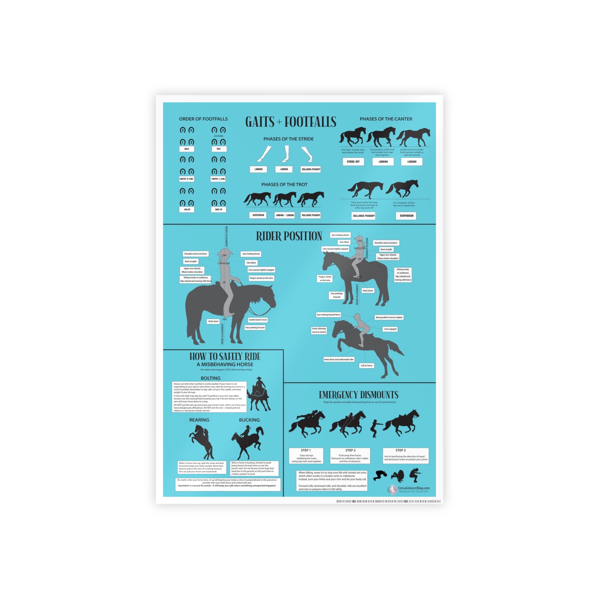 Gaits, Rider Position, & Safety Horse Poster (Blue)