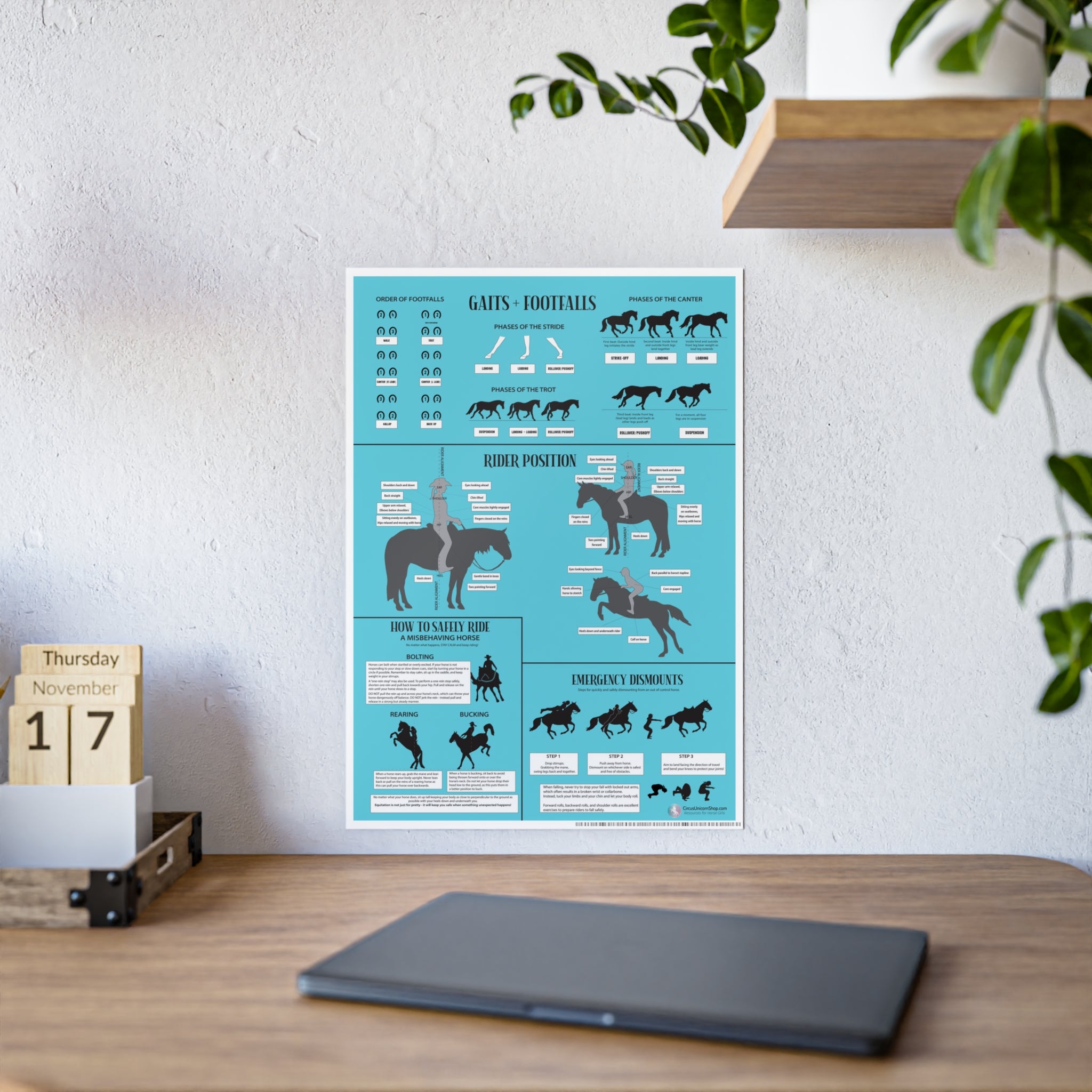 Gaits, Rider Position, & Safety Horse Poster (Blue)