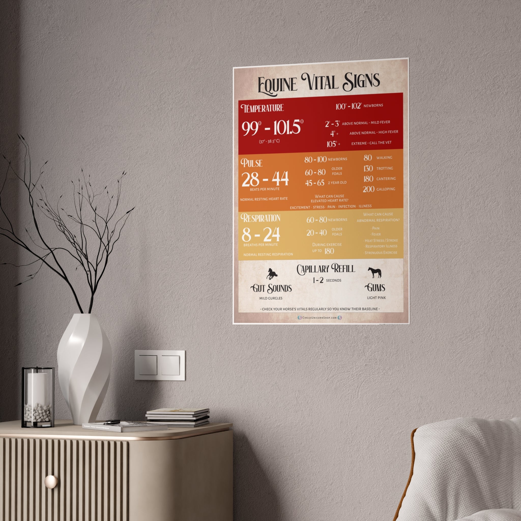 Equine Vital Signs Poster (TPR)
