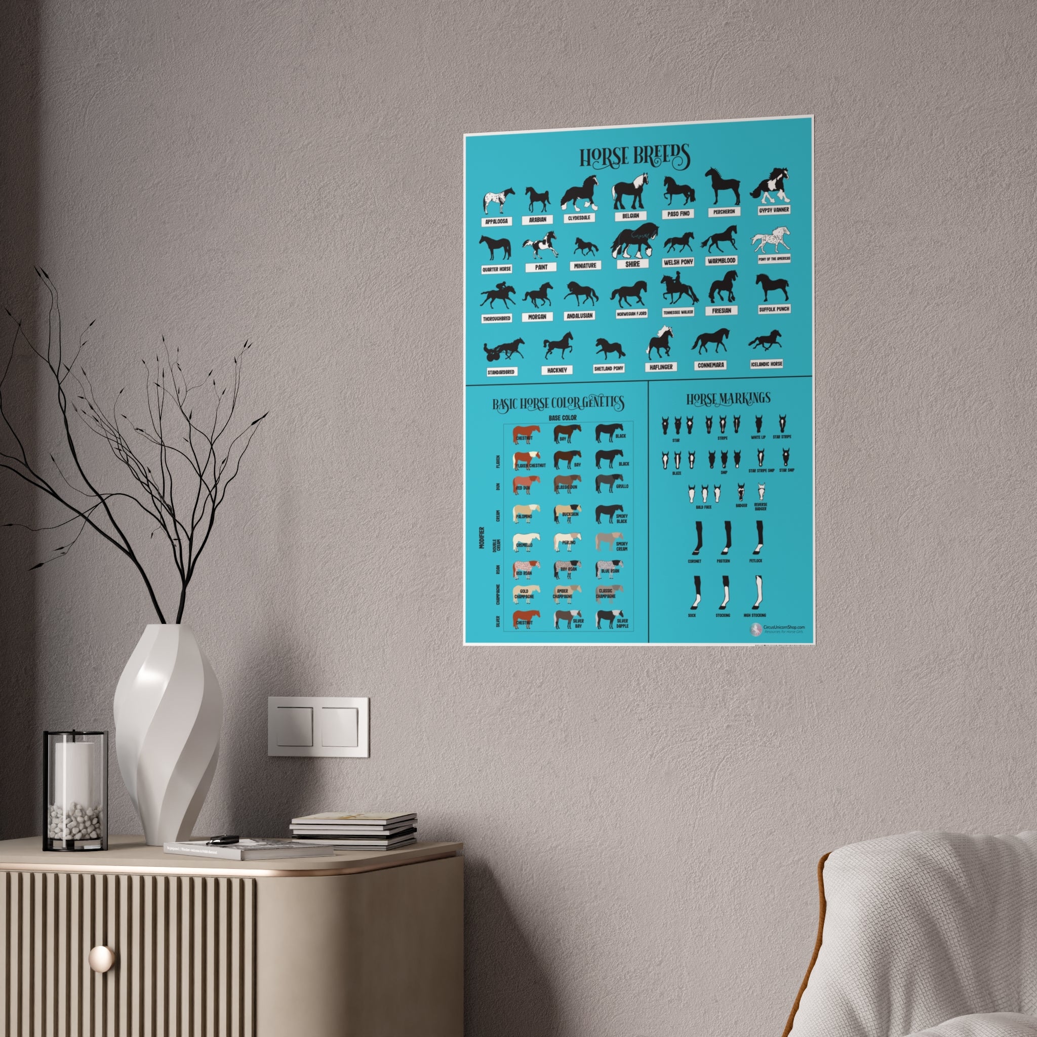 Breeds, Colors, & Markings Horse Poster