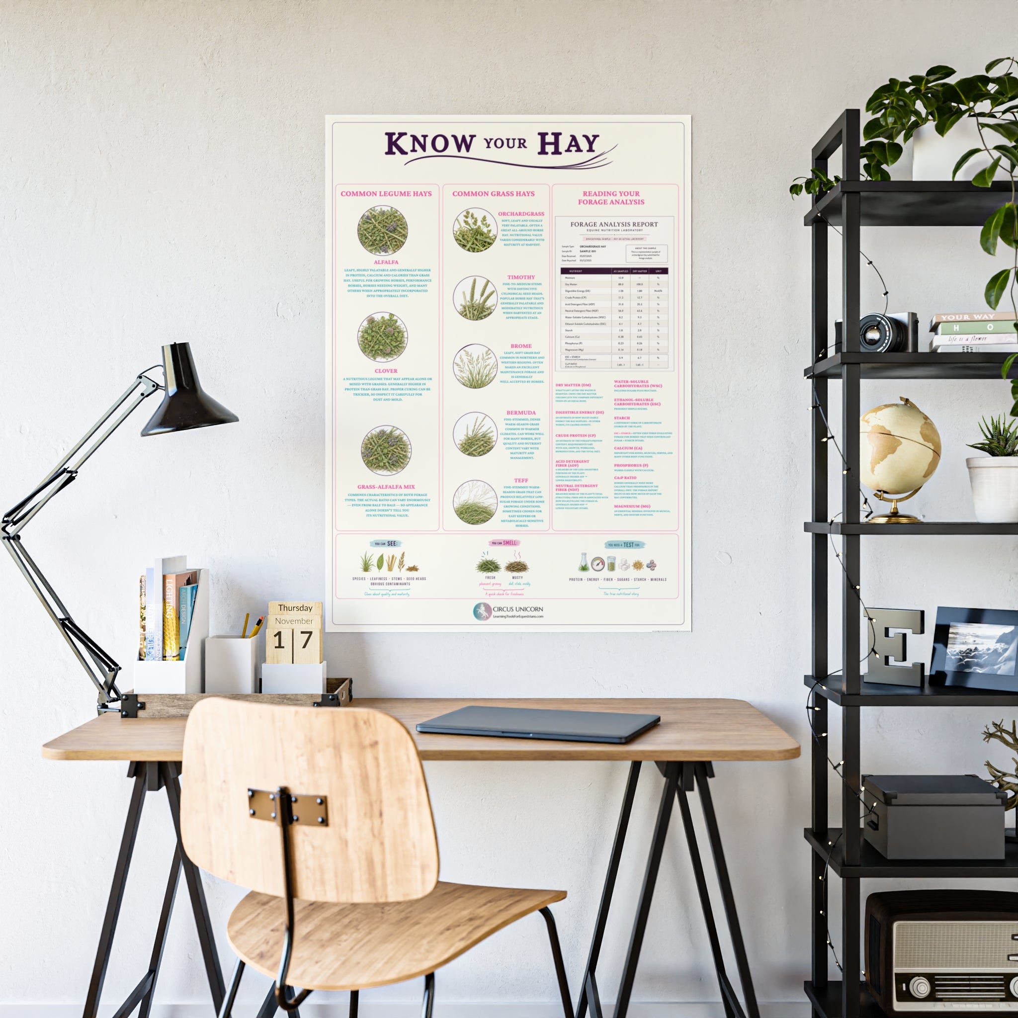 Know Your Forage Educational Horse Poster