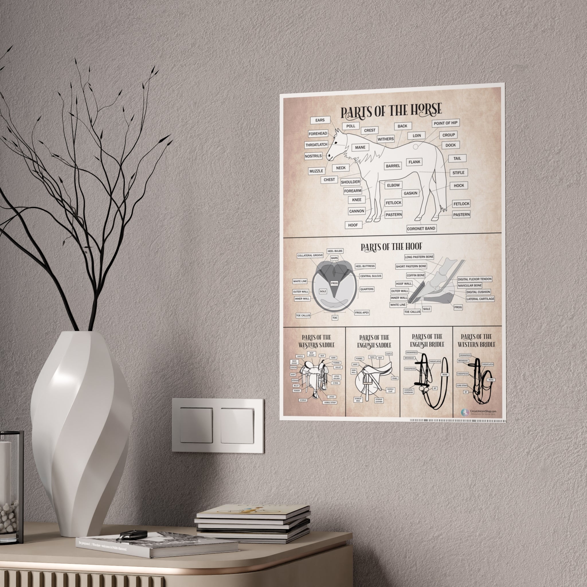 Parts of the Horse Poster - Natural
