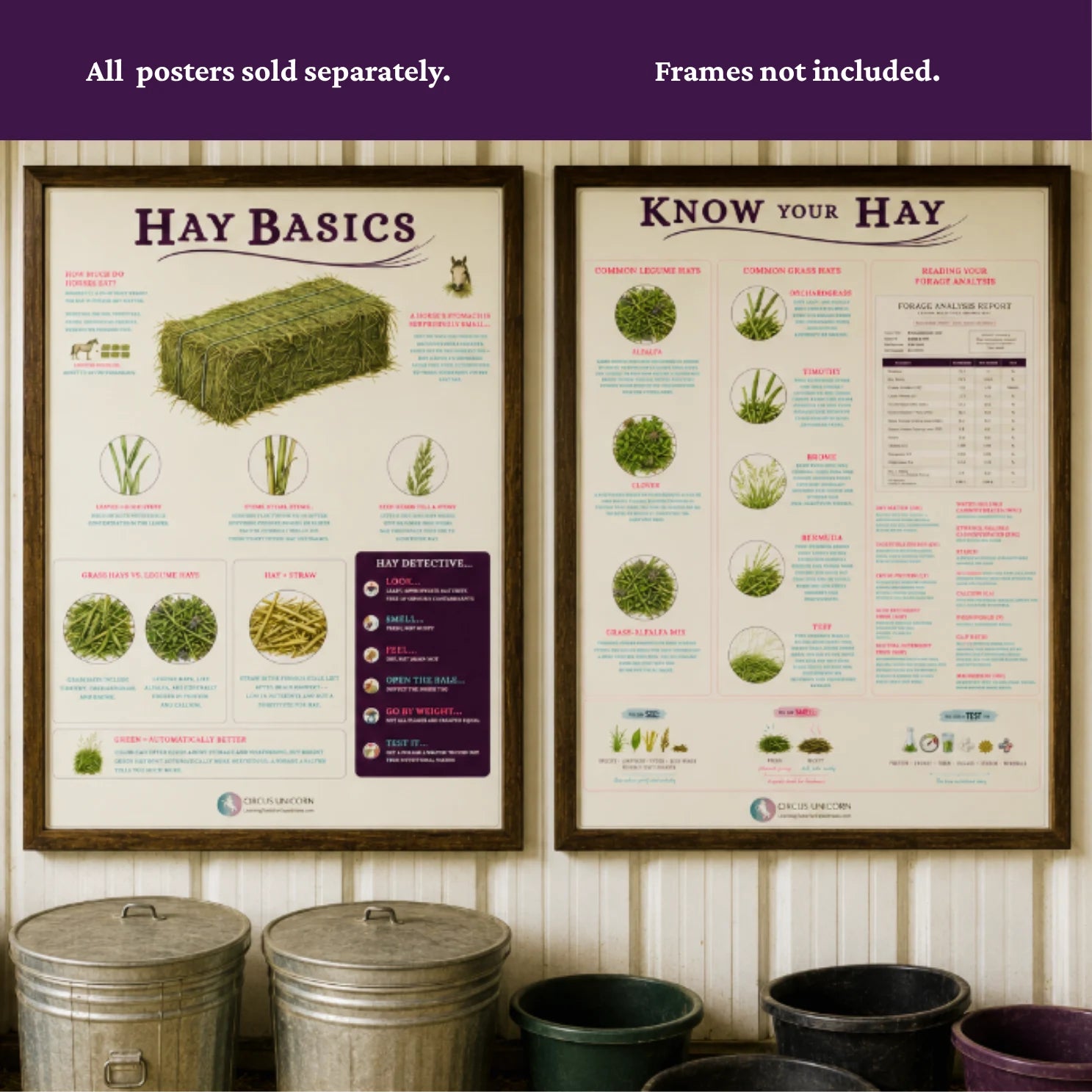 Hay Basics Educational Horse Poster