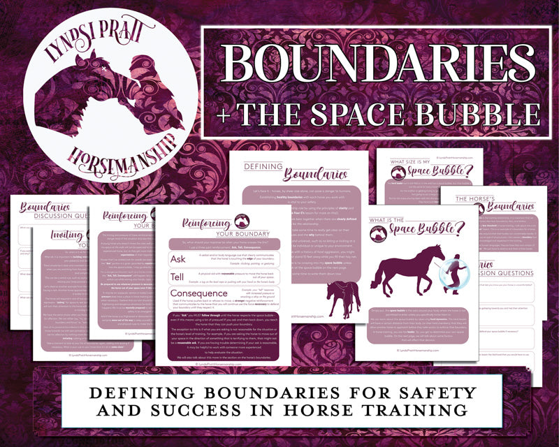 Setting Boundaries + Space Bubble Bundle (Horsemanship by Lyndsi)