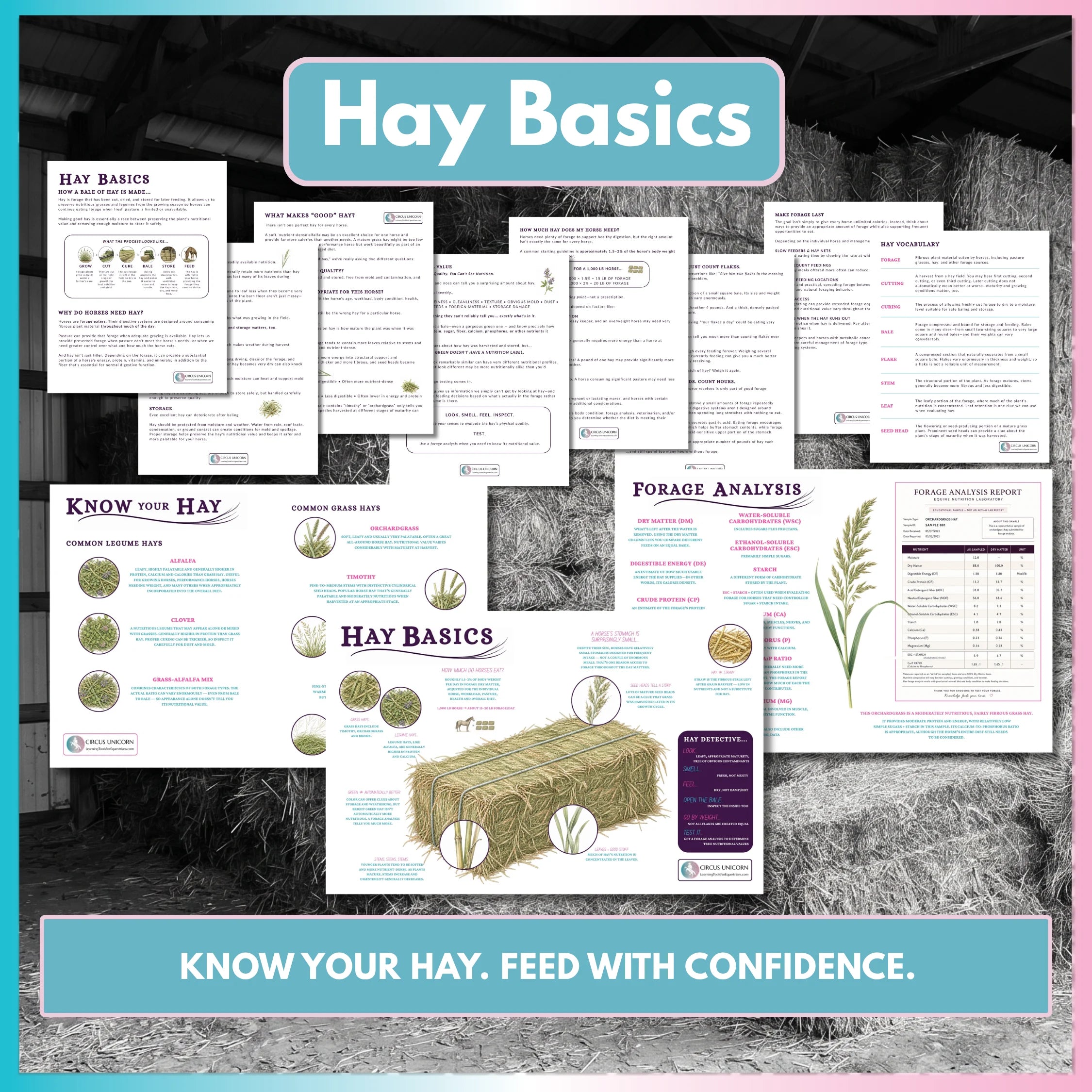 Hay Basics Mini-Course