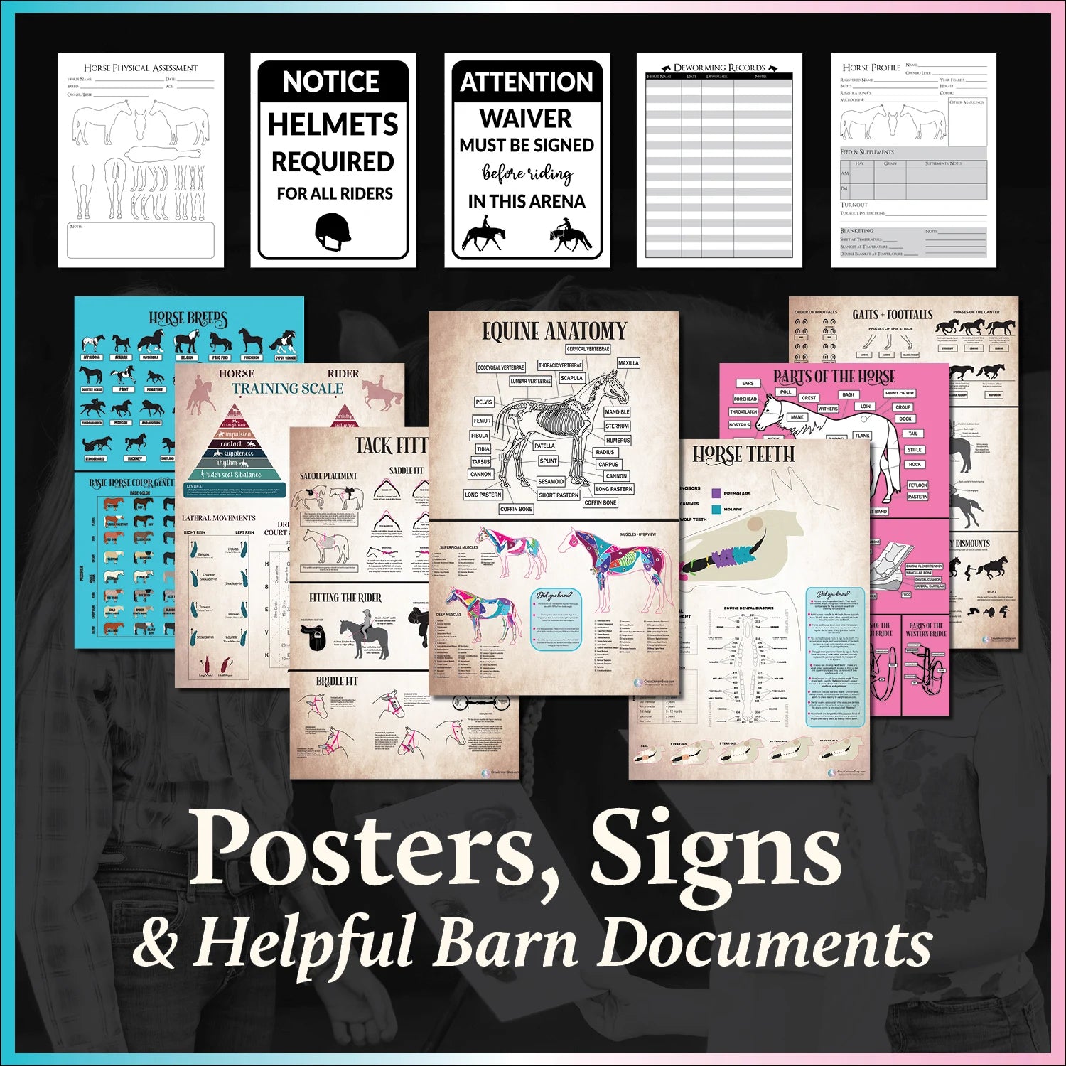 The Equestrian Complete Collection