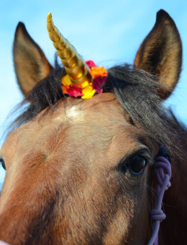 Unicorn Horn - with Hook & Loop Attachment for Halter/Bridle