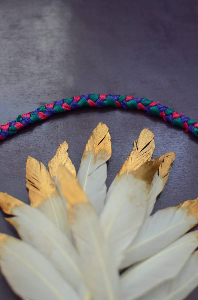 Mane Feathers