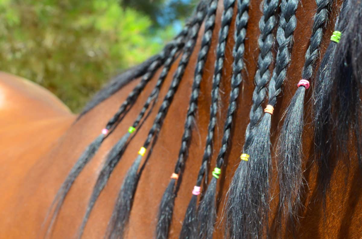 Rainbow Bands