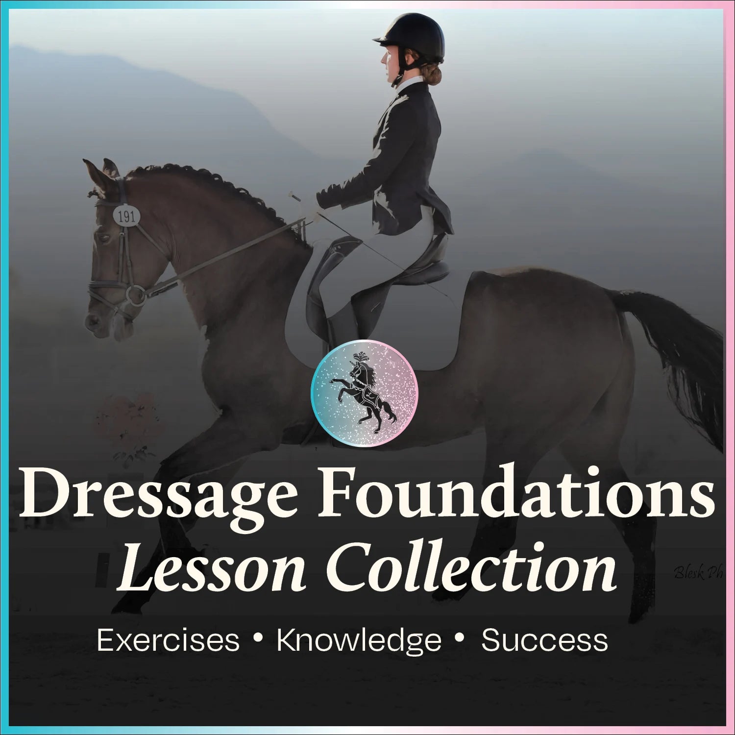 Dressage Foundations Collection