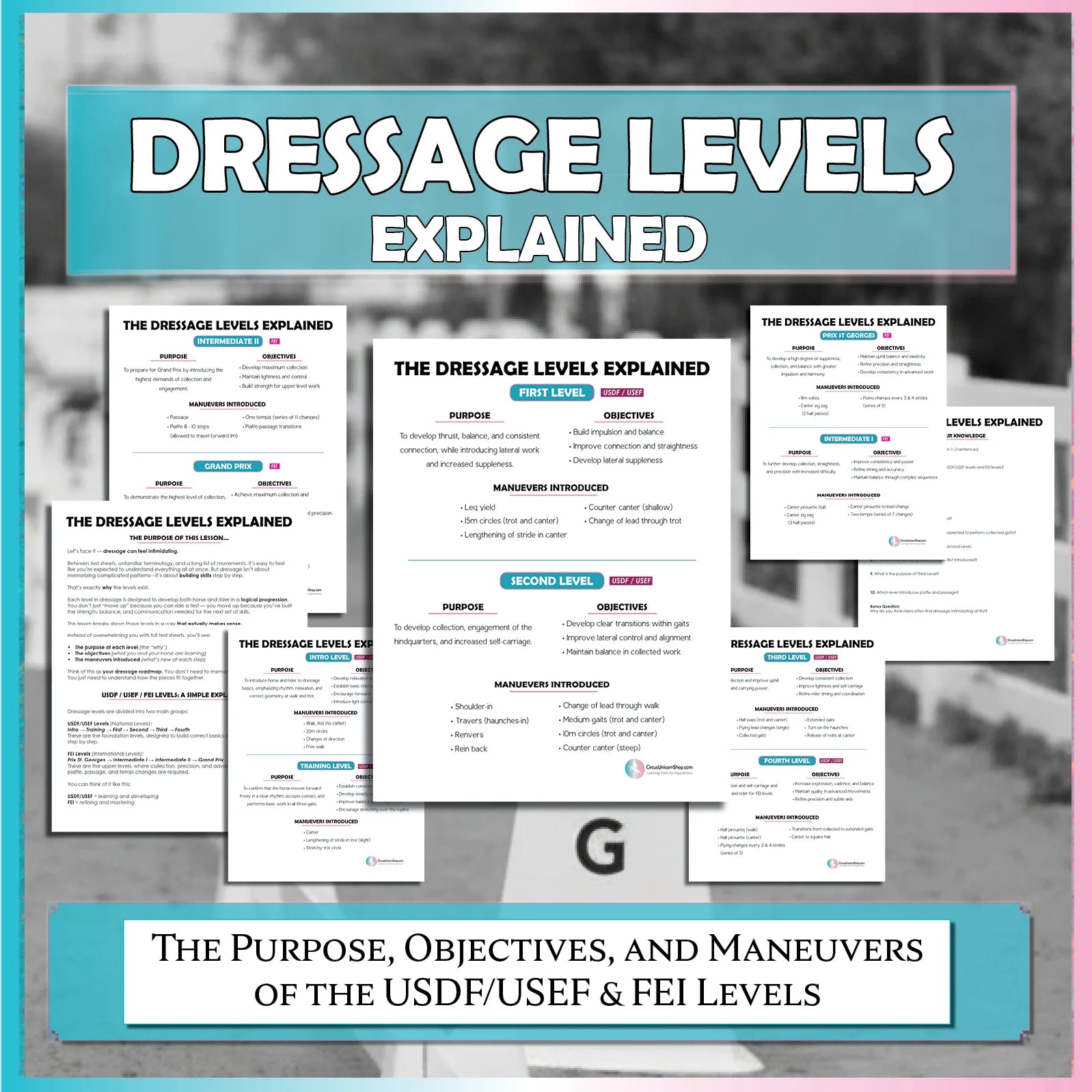 Dressage Levels Explained