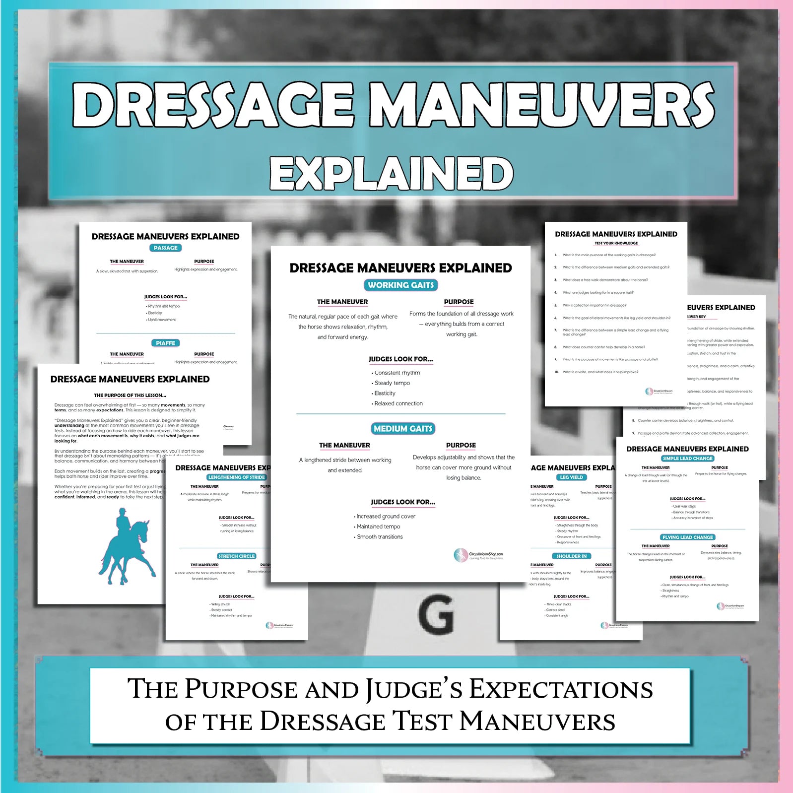 Dressage Maneuvers Explained