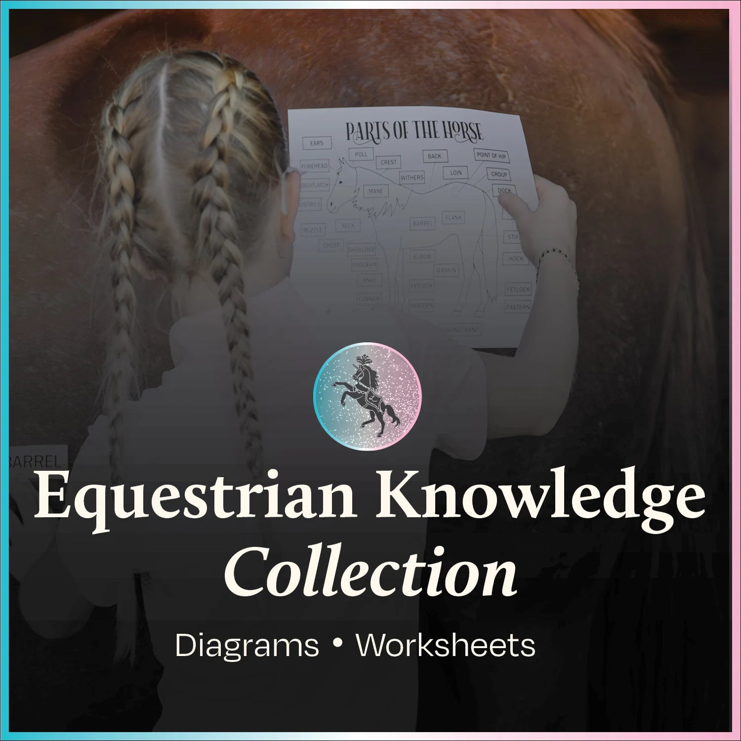 Equestrian Knowledge Collection