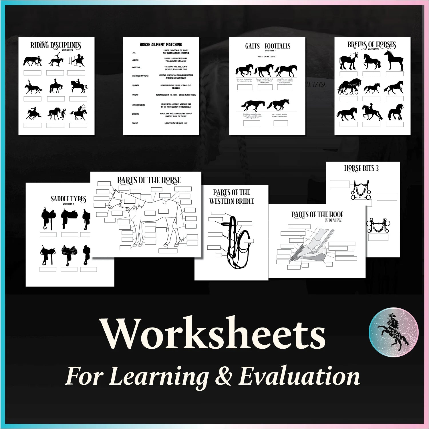 Equestrian Knowledge Collection