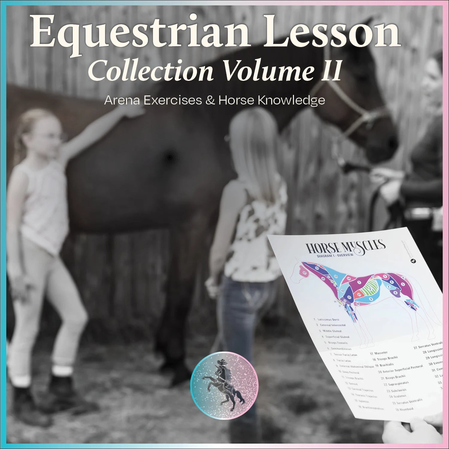 Equestrian Lesson Collection Volume II