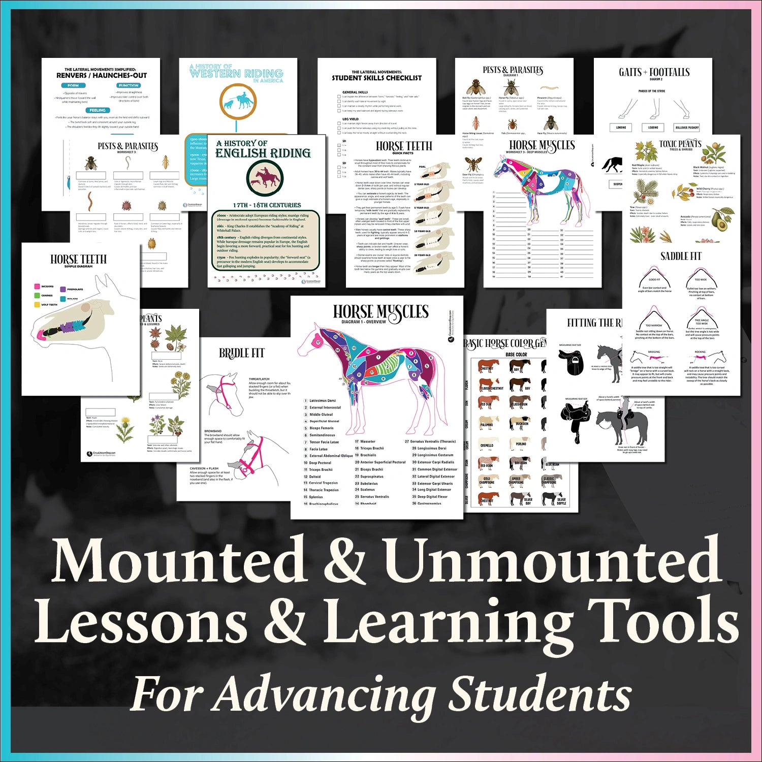 Equestrian Lesson Collection Volume II
