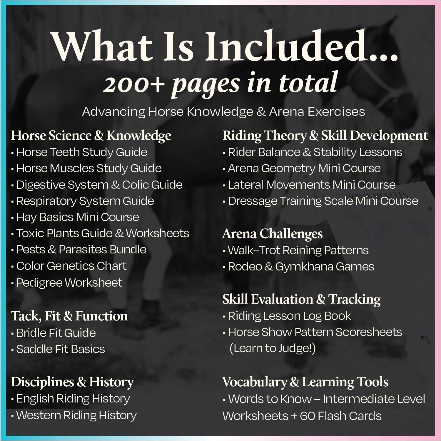 Equestrian Lesson Collection Volume II