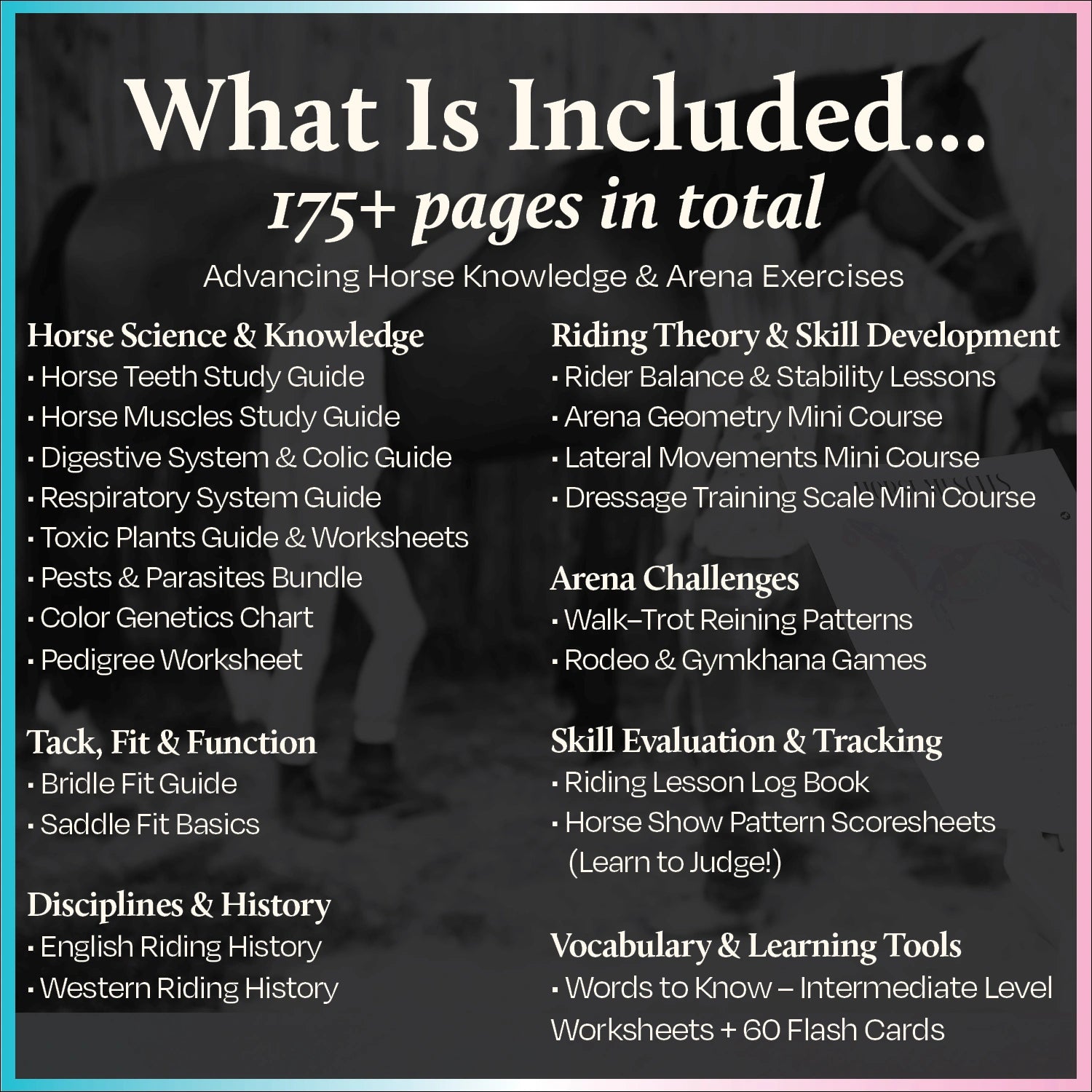 Equestrian Lesson Collection Volume II