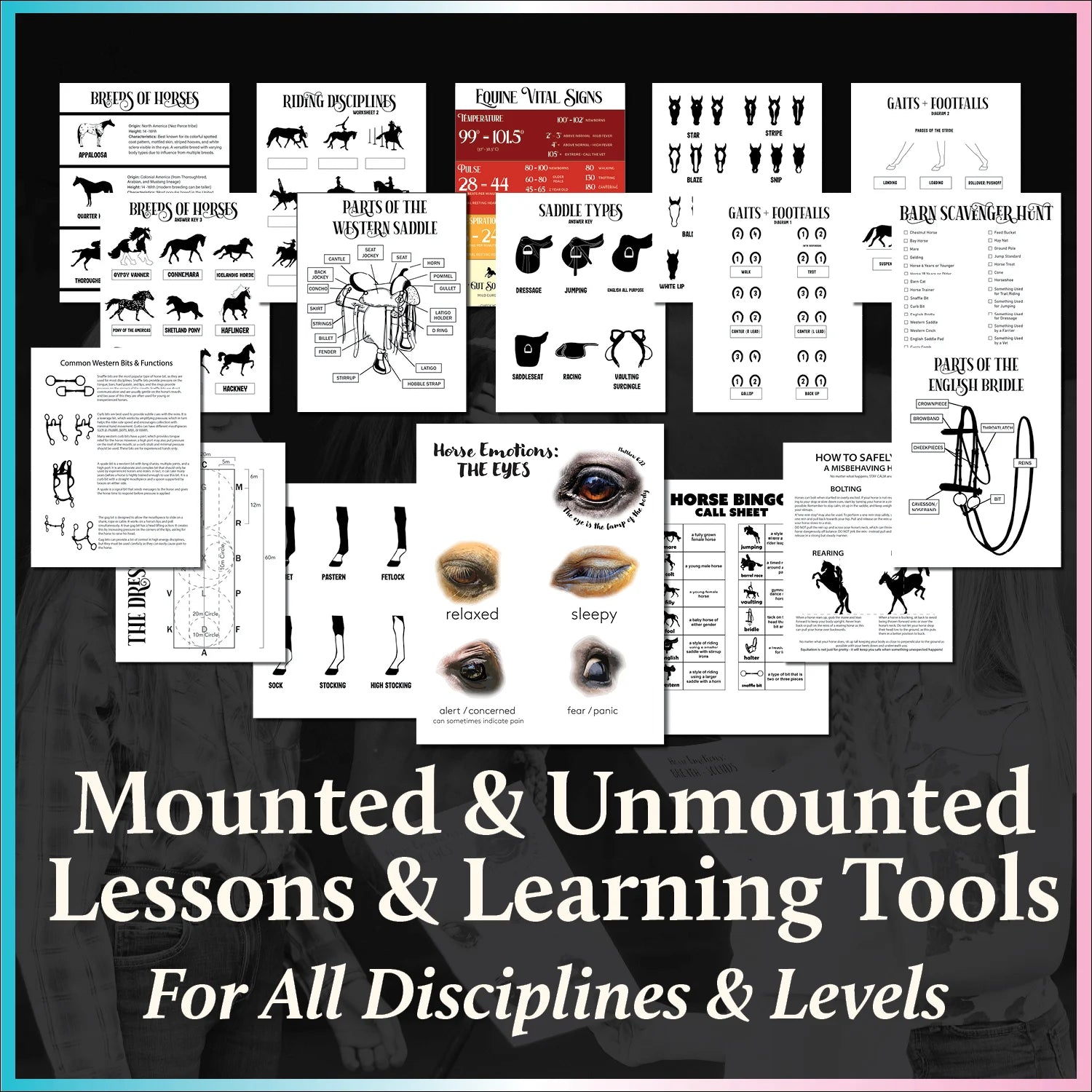 Equestrian Lesson Collection Volume I