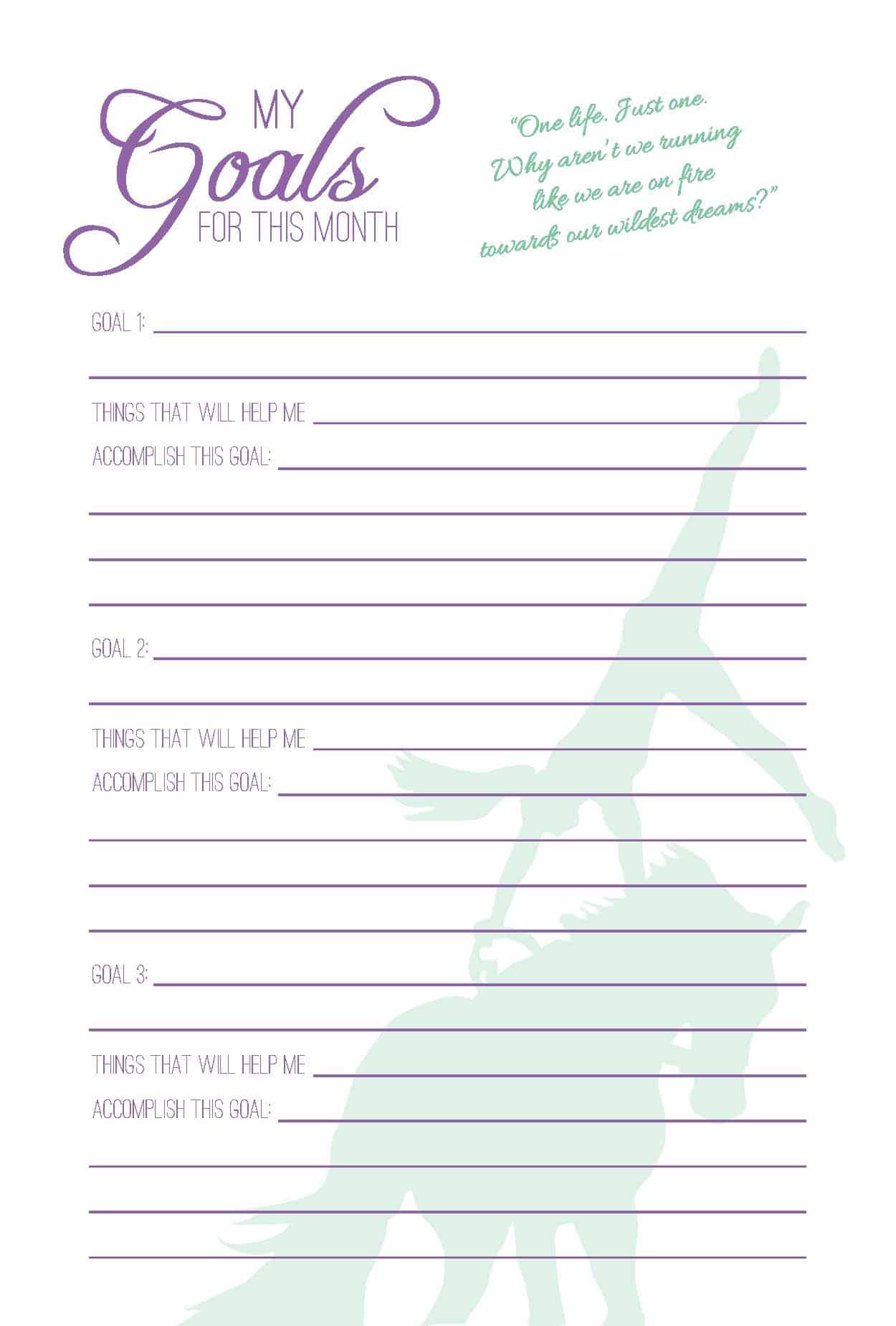 Equestrian Vaulter's Journal - PDF