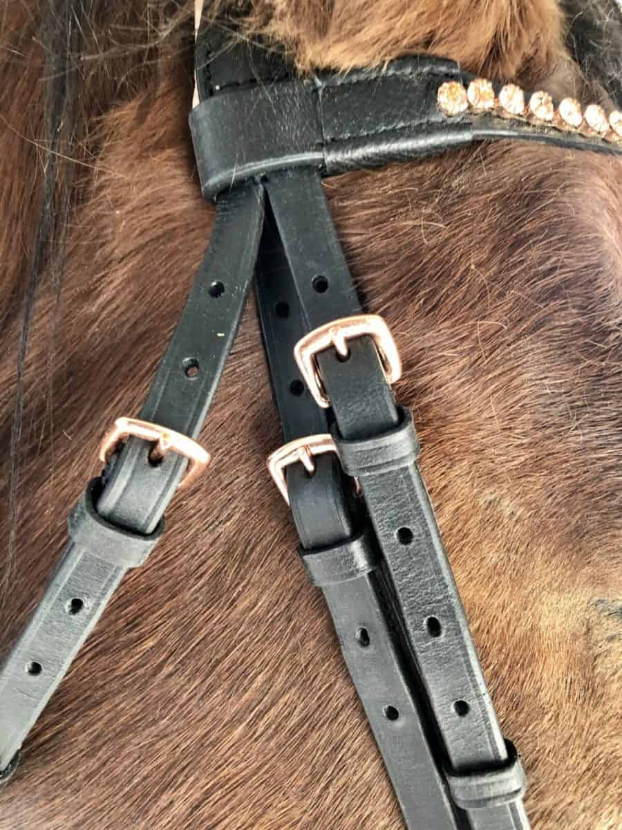 Rose Gold Dressage Bridle