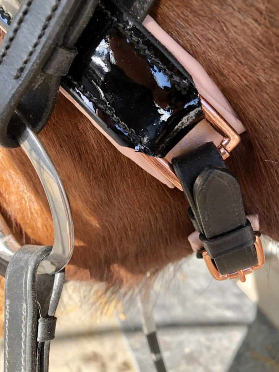Rose Gold Dressage Bridle
