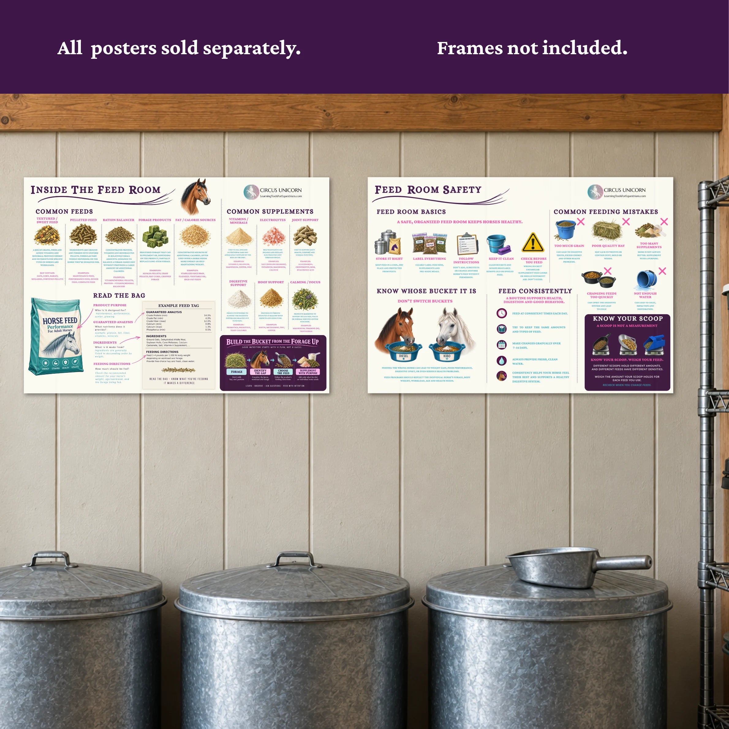 Feed Room Safety Educational Horse Poster