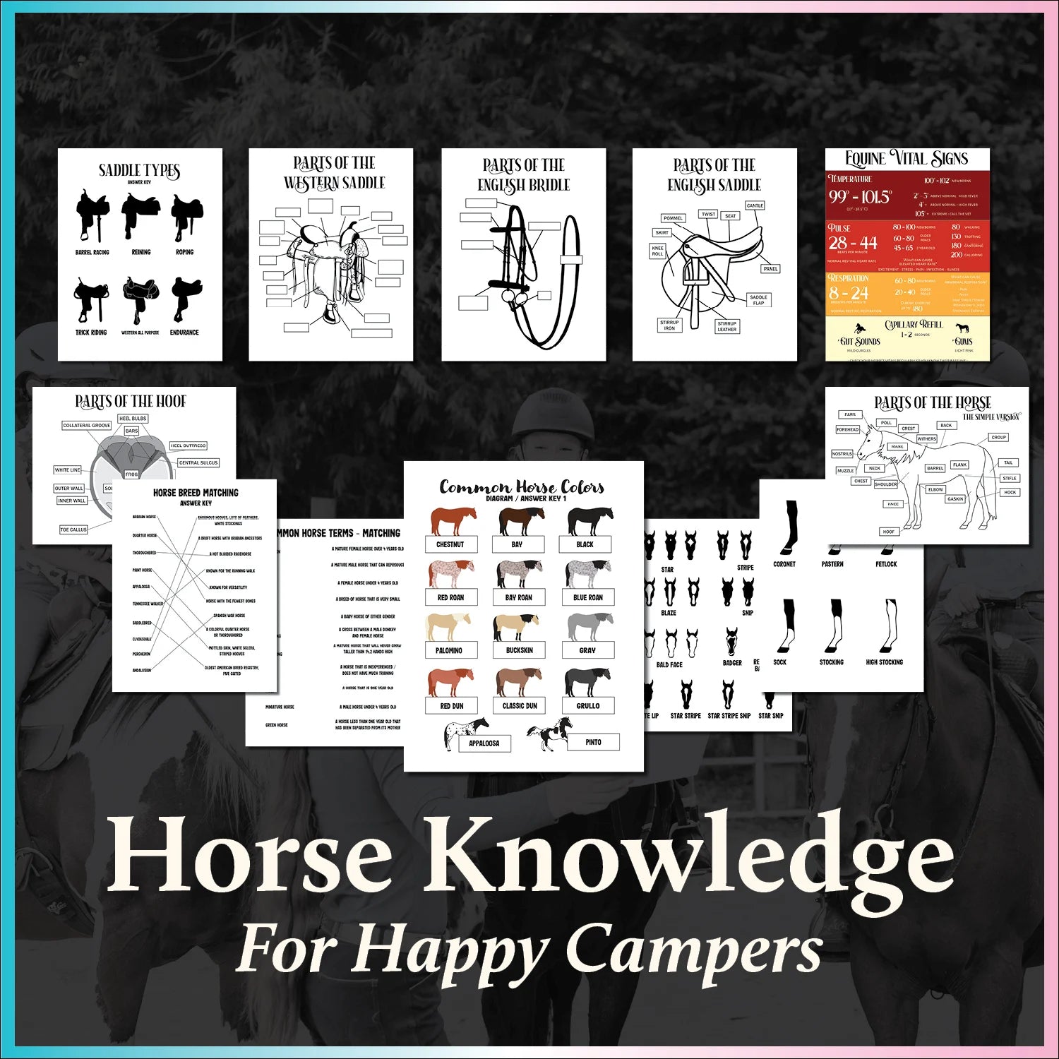 Horse Camp Collection