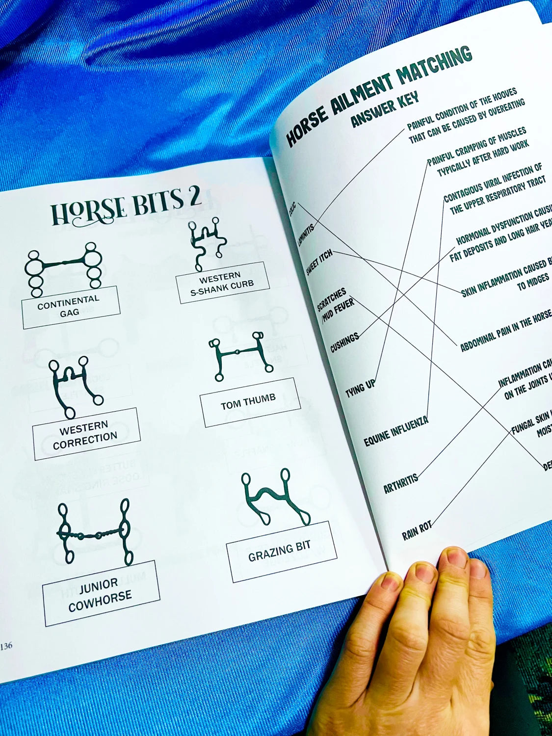 Intermediate Rider Lessons & Activities
