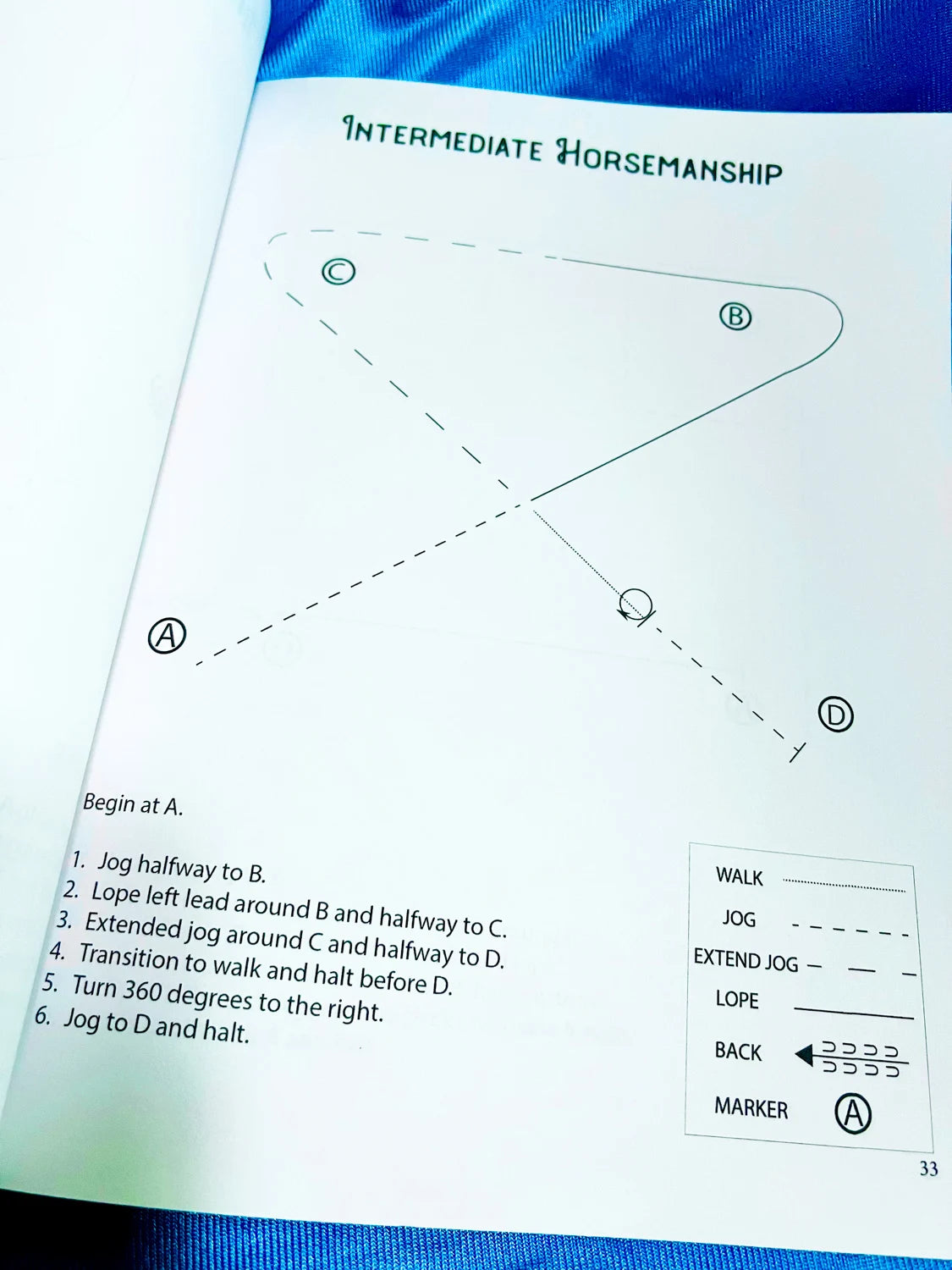 Intermediate Rider Lessons & Activities