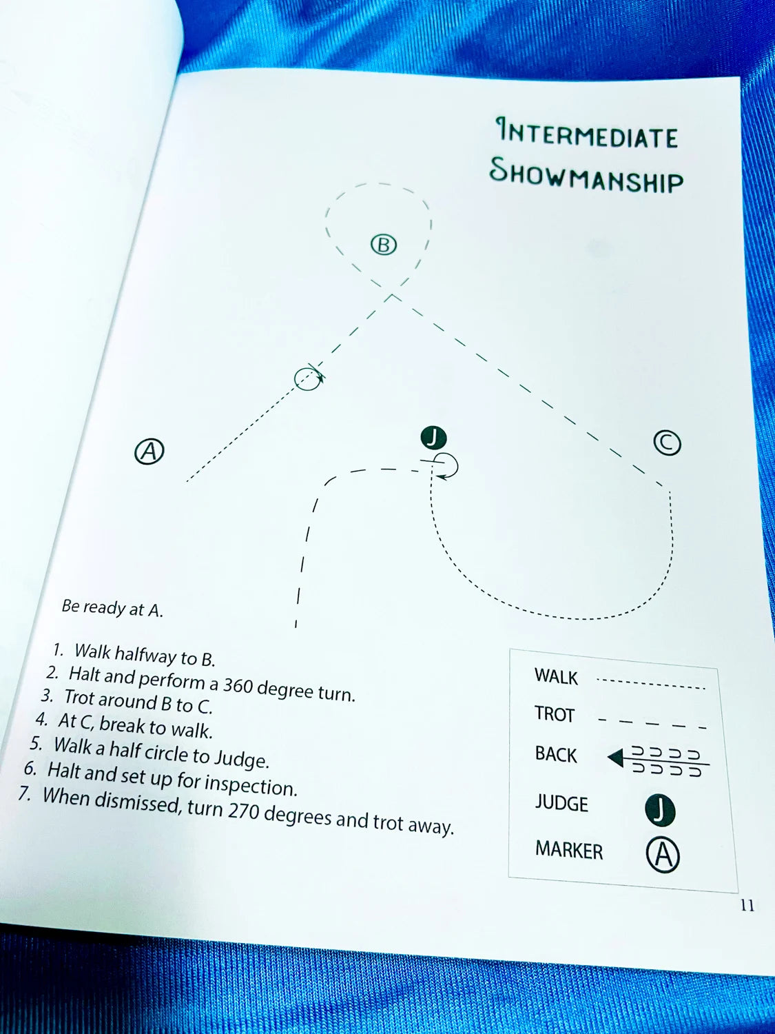 Intermediate Rider Lessons & Activities