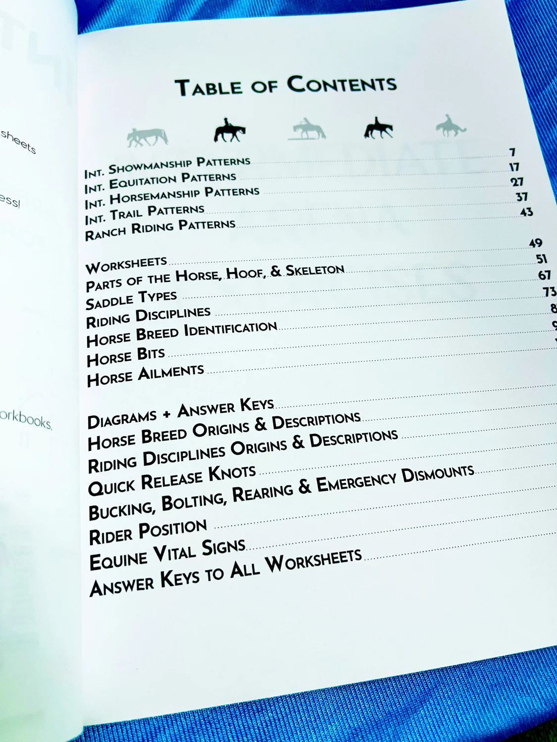 Intermediate Rider Lessons & Activities