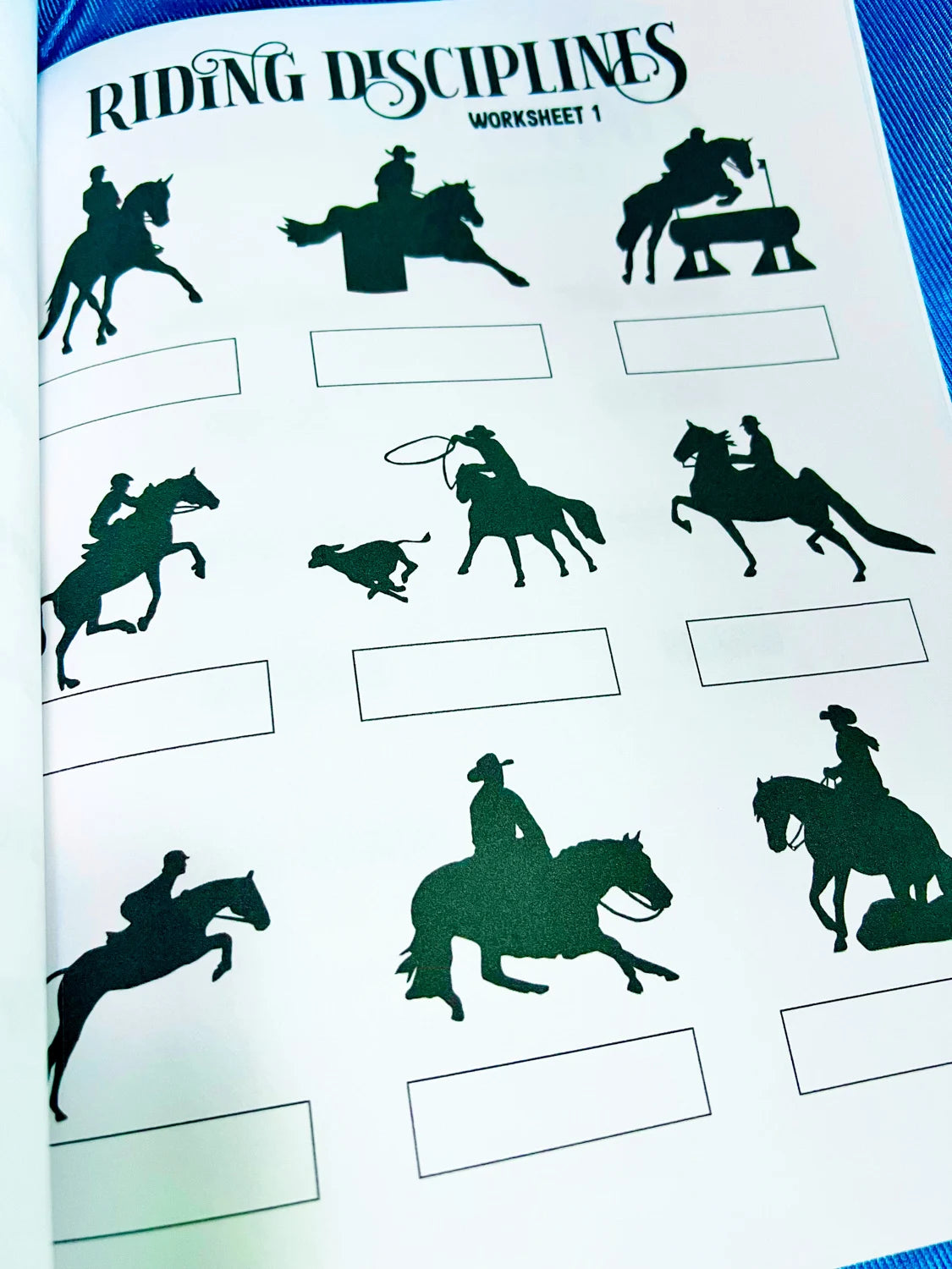 Intermediate Rider Lessons & Activities