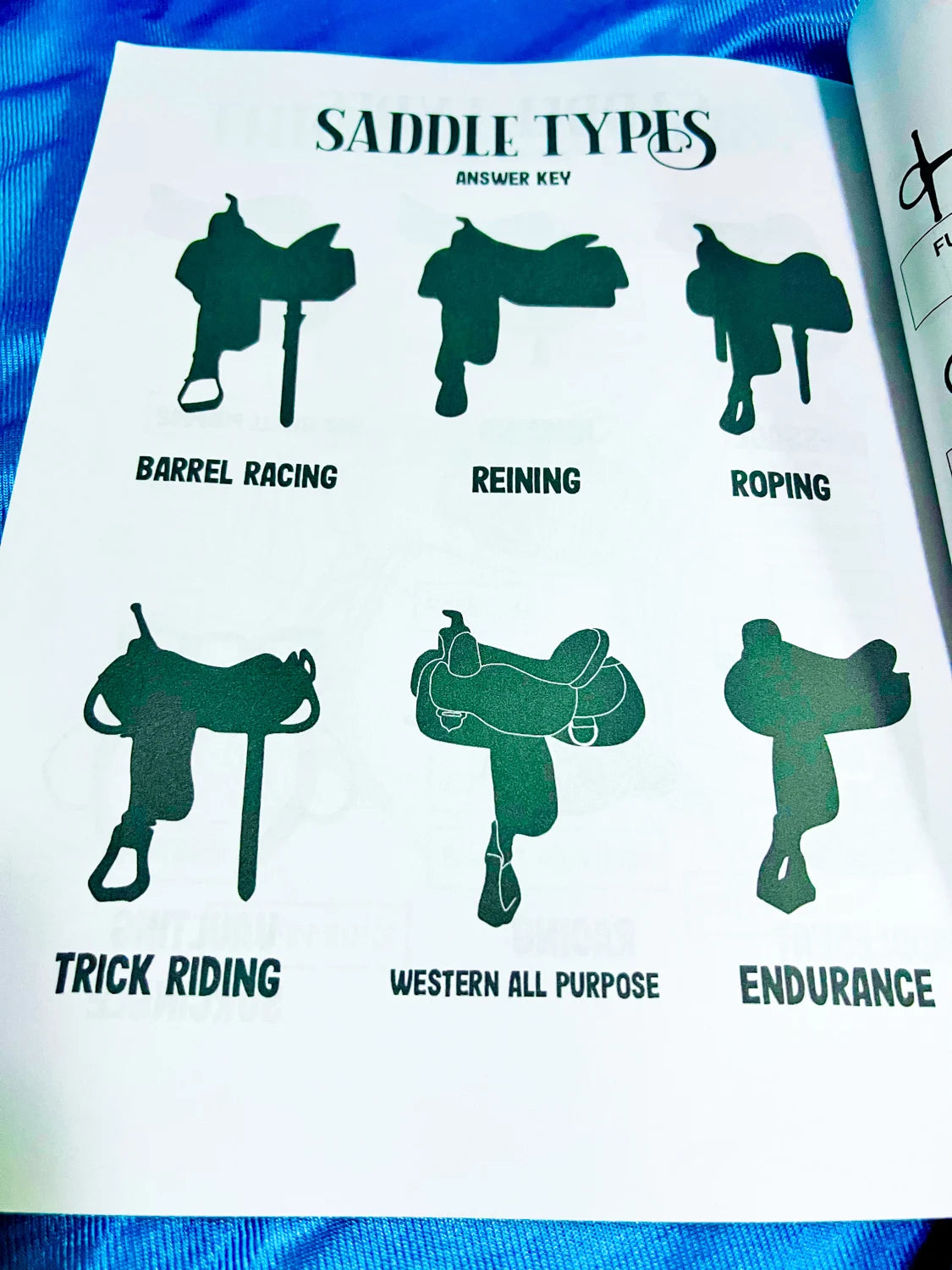 Intermediate Rider Lessons & Activities