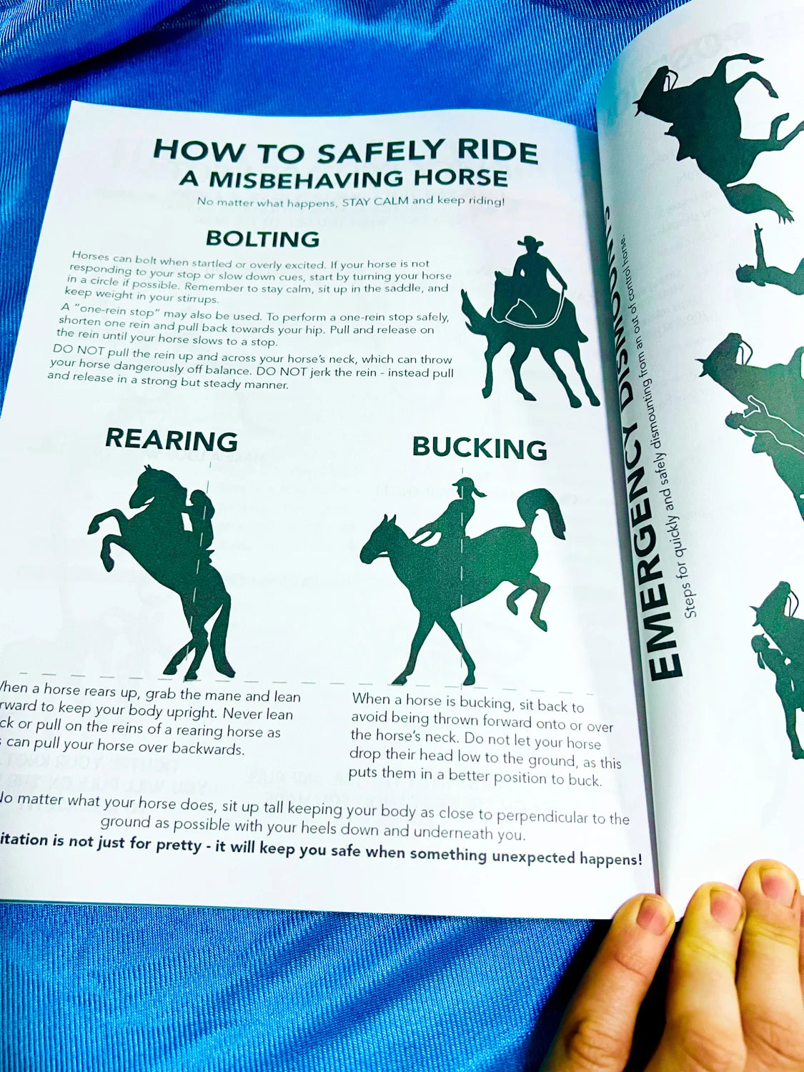 Intermediate Rider Lessons & Activities