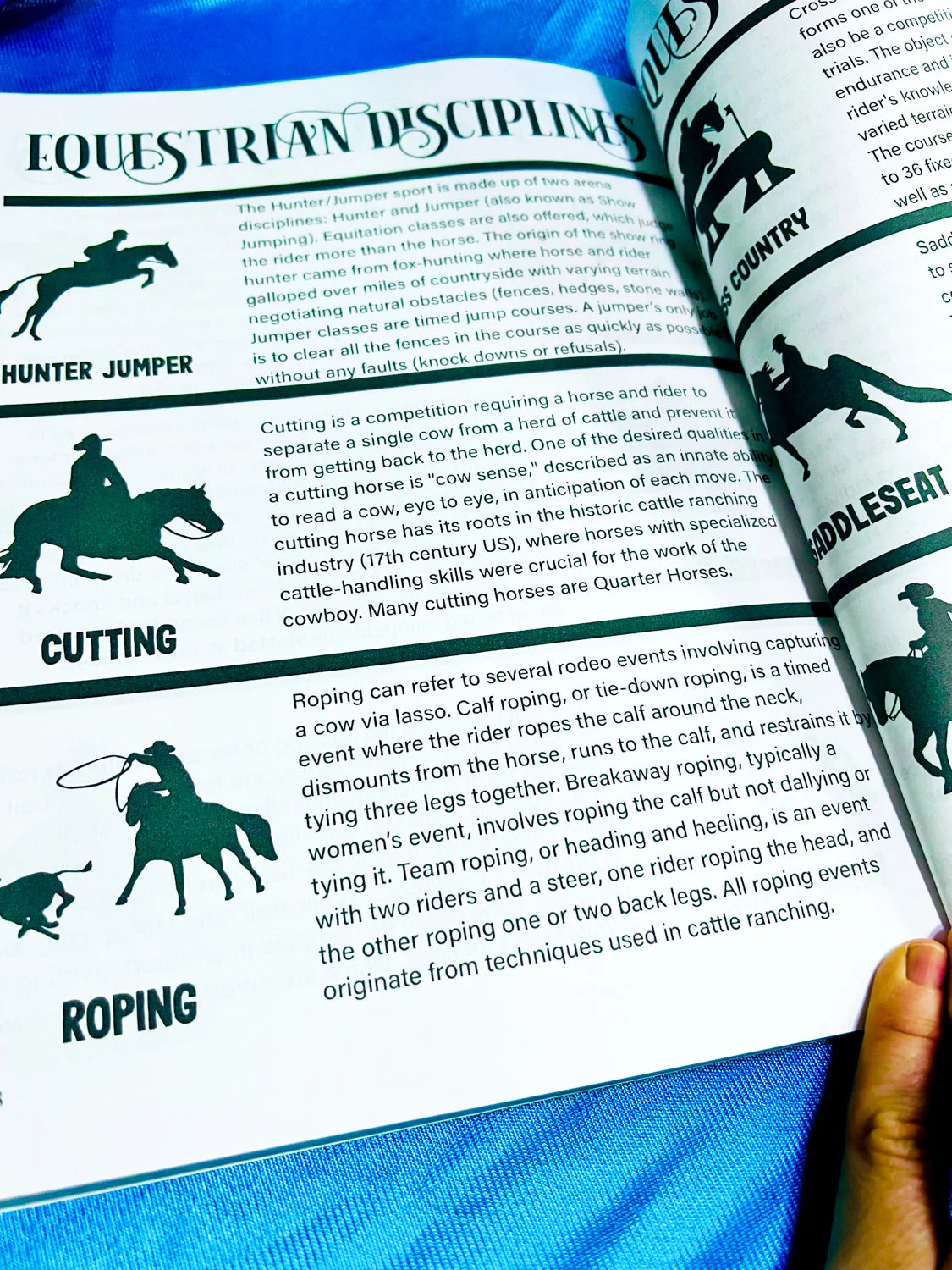 Intermediate Rider Lessons & Activities