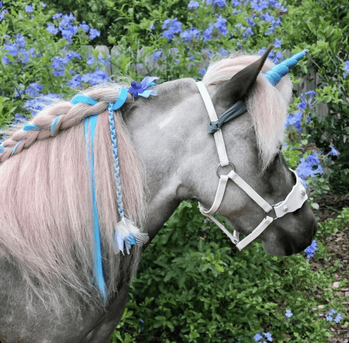 Pony Unicorn Horn