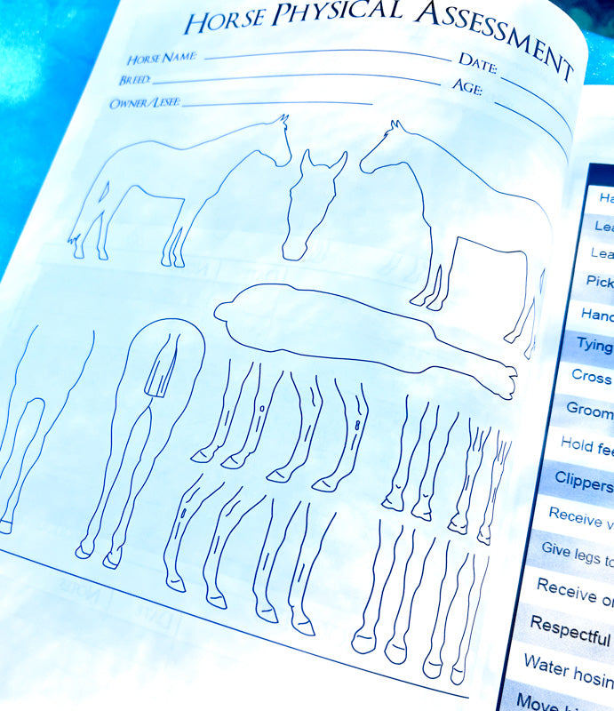 The Horse Project Book