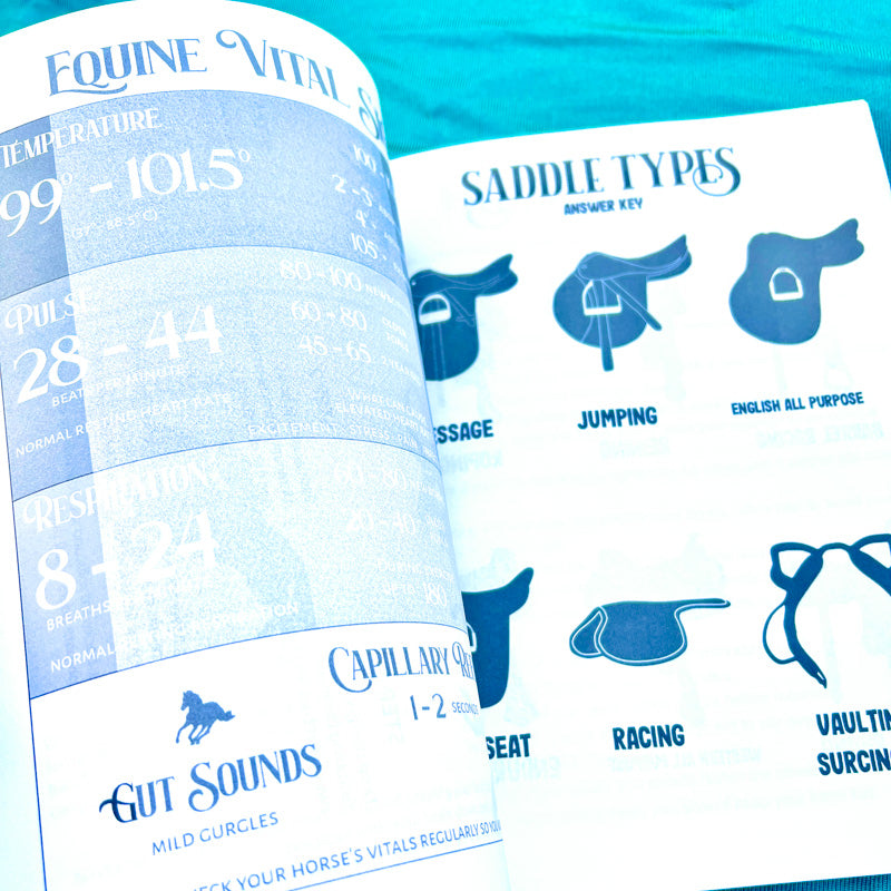 Horse Camp Workbook