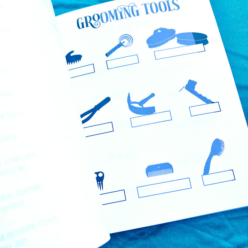 Horse Camp Workbook